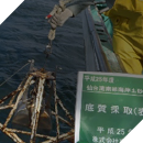 仙台湾南部海岸土砂移動検討業務