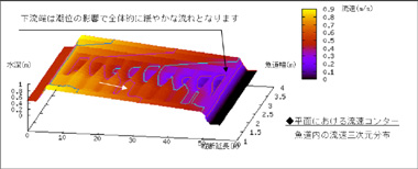 三次元解析による魚道内の流況予測