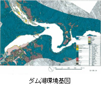 ダム湖環境基図