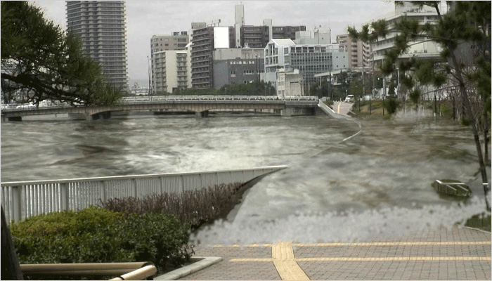 株式会社東京建設コンサルタント : 大阪府 大阪市 津波氾濫CG作成