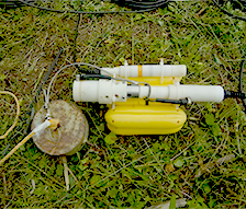 平成２５年度荒川自然再生調査業務