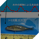 平成２５年度荒川自然再生調査業務