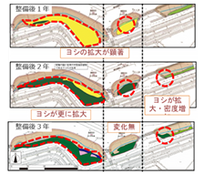 河川環境対策工事の内植生モニタリング調査業務委託