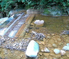 玉川流域砂防堰堤水質環境影響評価検討業務