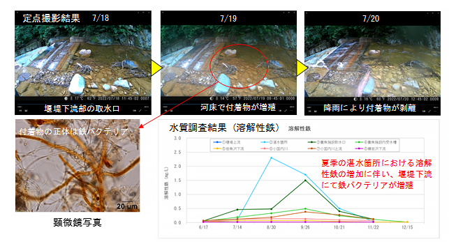 北陸地方整備局 飯豊山系砂防事務所
玉川流域砂防堰堤水質環境影響評価検討業務イメージ