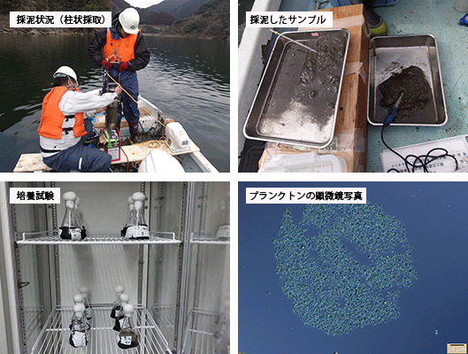 厳木ダム水質調査計画検討業務