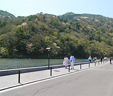 桂川嵐山地区景観設計業務