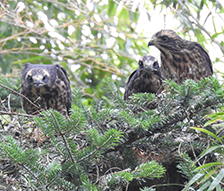 令和２年度県道改1-201号丸森地区道路環境調査業務委託