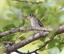 福岡空港関連自動車専用道路に係る環境影響評価現地調査(その３)業務委託