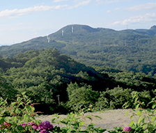 いちご米沢板谷ＥＣＯ発電所環境アセスメント手続き業務