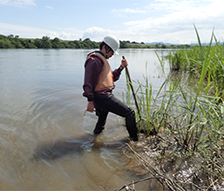 H31信濃川下流河道掘削環境影響調査業務
