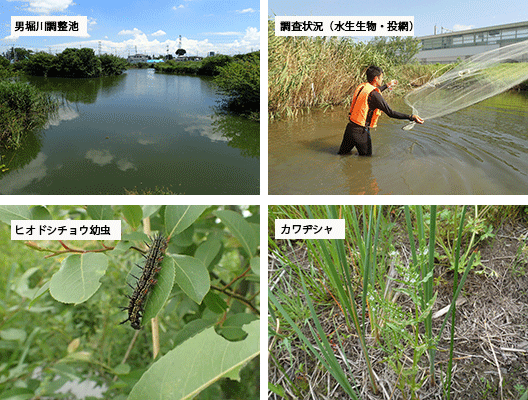 本庄新都心土地区画整理事業供用時事後調査業務委託