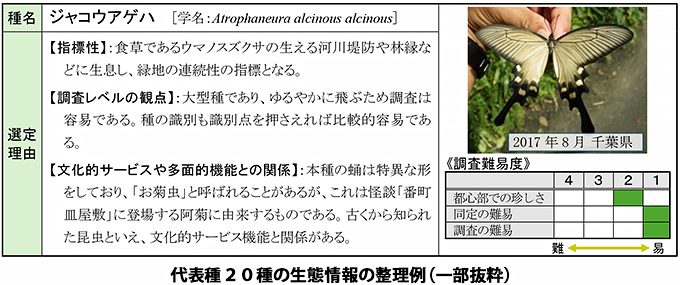 令和３年度自然生態系の機能に着目した昆虫類等指標検討業務