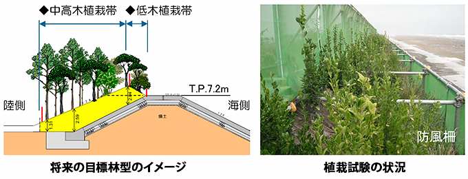 仙台湾南部海岸海岸保全施設検討業務