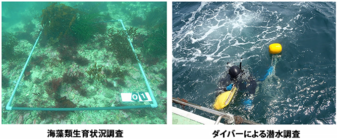 平成２３年度　三重保全二期地区県単沿岸整備事業藻場造成基礎調査委託