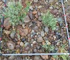 令和３年度阿賀川自然再生計画検討業務