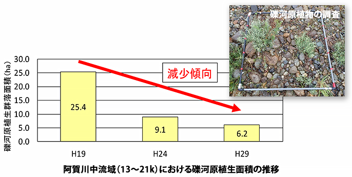 令和３年度阿賀川自然再生計画検討業務