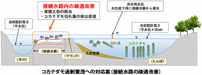 Ｒ３荒川自然再生調査等業務