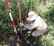 令和５年度中国管内樹木再繁茂対策調査検討業務