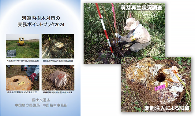 令和５年度中国管内樹木再繁茂対策調査検討業務