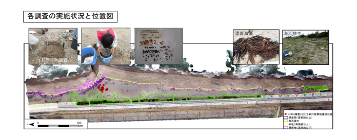 東北地方整備局　仙台河川国道事務所
仙台湾南部海岸環境調査業務イメージ