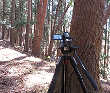 南三陸環境調査