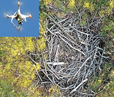 三陸沿岸地域環境調査