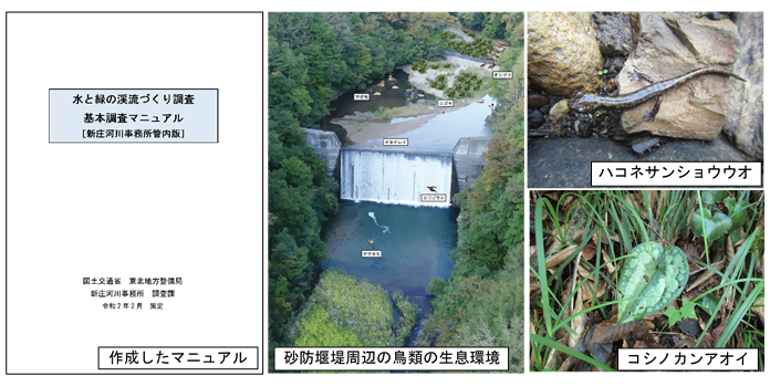 東北地方整備局　新庄河川事務所
角川流域ほか水と緑の渓流づくり調査イメージ