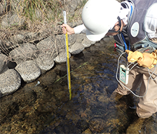 比奈知ダム下流河川環境調査業務