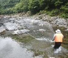 紀の川ダム統管管内河川水辺の国勢調査業務