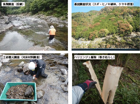 紀の川ダム統管管内河川水辺の国勢調査業務