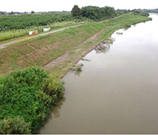 信濃川下流河道掘削等検討業務