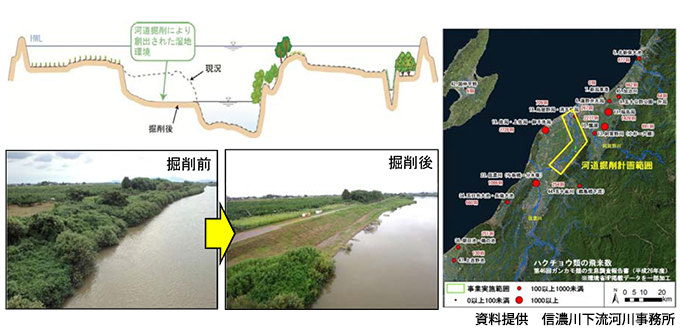 北陸地方整備局　信濃川下流河川事務所
信濃川下流河道掘削等検討業務イメージ