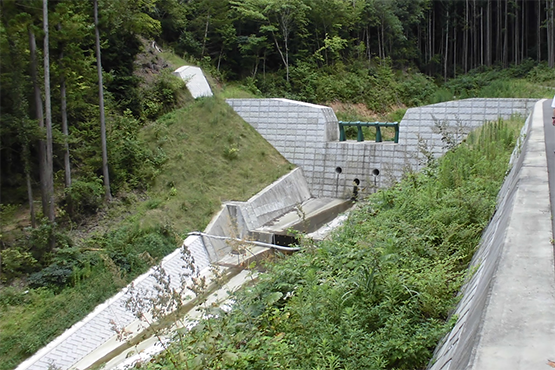 茨城県　常陸大宮土木事務所
大栗沢砂防堰堤詳細設計業務イメージ