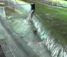 東川水系津門川地下貯留管詳細設計