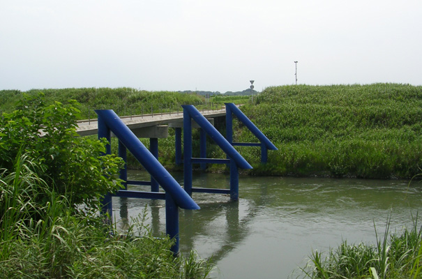 埼玉県 鴻巣市役所
冠水橋災害復旧設計業務委託（原馬室橋、滝馬室橋）イメージ