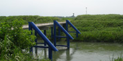 埼玉県 鴻巣市役所
冠水橋災害復旧設計業務委託(原馬室橋、滝馬室橋)