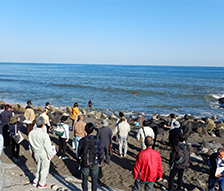 宮崎海岸侵食対策効果•影響分析及び対応検討業務