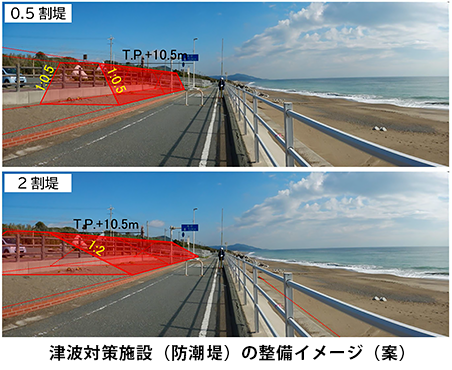 愛知県  東三河建設事務所
海岸緊急整備工事の内津波対策検討業務委託イメージ
