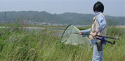 紀の川河川 水辺の国勢調査（陸上昆虫類他）業務