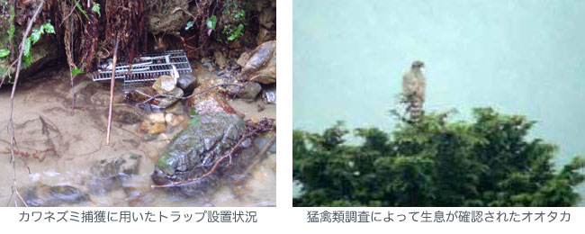 砂防環境調査委託イメージ