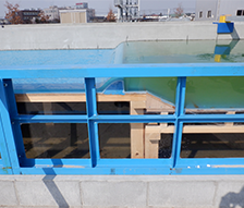 千曲川下流遊水地実施設計業務