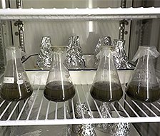 山口調整池水質保全対策検討業務