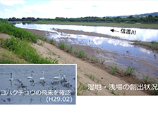 Ｒ１信濃川下流河道計画検討外業務