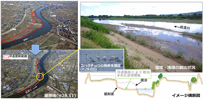 北陸地方整備局　信濃川下流河川事務所
Ｒ１信濃川下流河道計画検討外業務イメージ