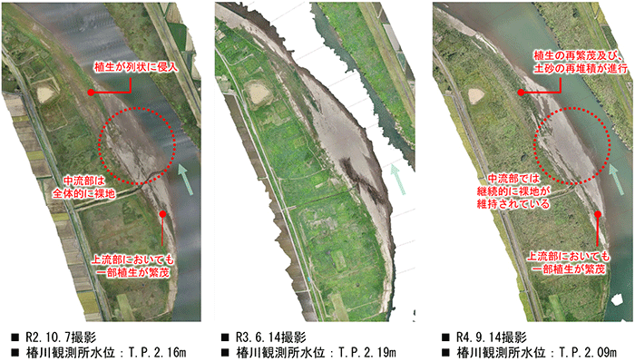 雄物川下流河道整備計画検討業務