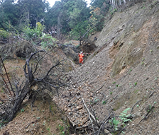 寺川圏域砂防計画検討業務（防災・安全交付事業（砂防））