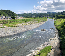 令和３年度　狩野川河川環境検討業務