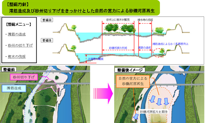 近畿地方整備局 福井河川国道事務所 調査第一課
九頭竜川自然再生事業検討業務イメージ