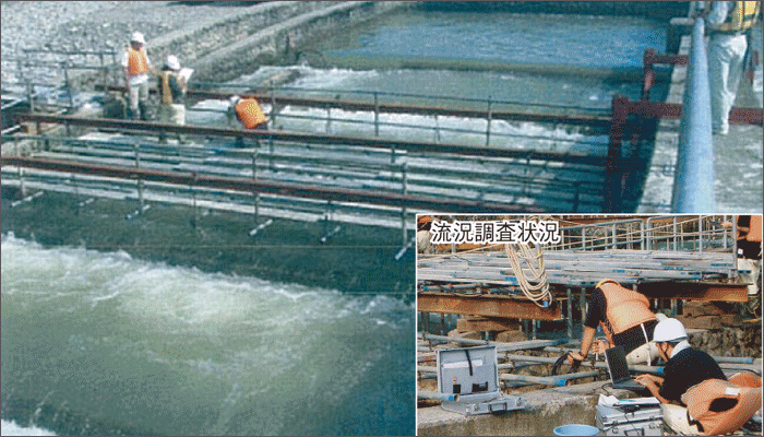 財団法人 リバーフロント整備センター
信濃川宮中地区魚類生息環境改善資料整理業務イメージ